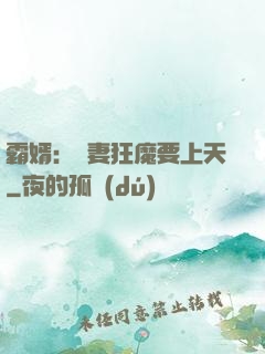 霸婿：寵妻狂魔要上天
