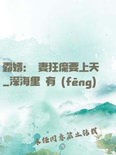 霸婿：寵妻狂魔要上天