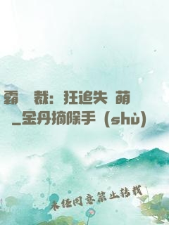 霸氣總裁：狂追失憶萌寶