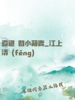 霸道總裁小萌妻