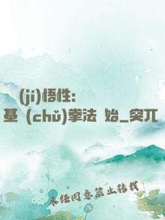 頂級(jí)悟性：從基礎(chǔ)拳法開始