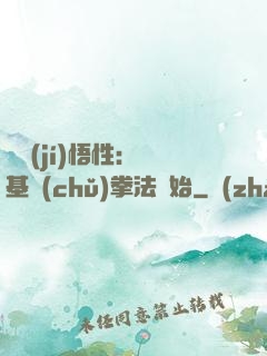 頂級(jí)悟性：從基礎(chǔ)拳法開始