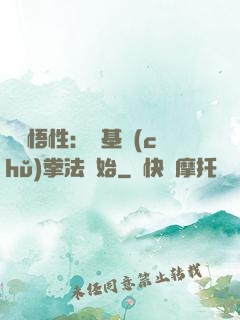 頂級悟性：從基礎(chǔ)拳法開始