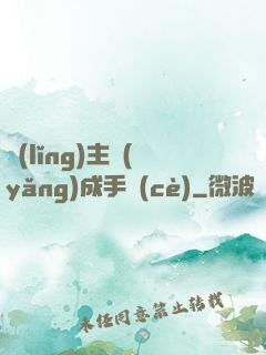 領(lǐng)主養(yǎng)成手冊(cè)