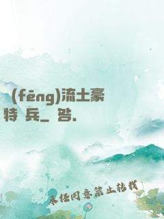 風(fēng)流土豪特種兵