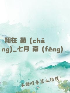 飛翔在綠茵場(chǎng)