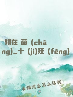 飛翔在綠茵場(chǎng)