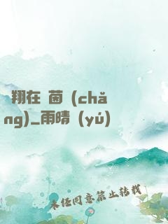 飛翔在綠茵場(chǎng)