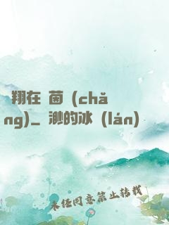 飛翔在綠茵場(chǎng)