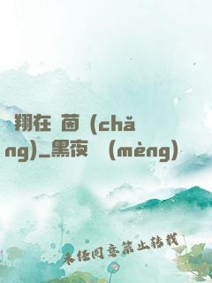 飛翔在綠茵場(chǎng)