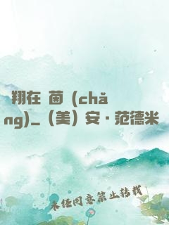 飛翔在綠茵場(chǎng)