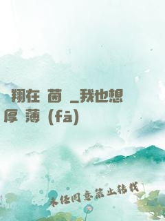 飛翔在綠茵場