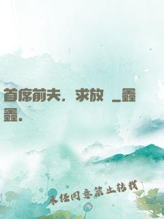 首席前夫，求放過