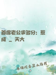 首席老公求名分：惹愛成災