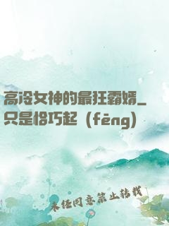 高冷女神的最狂霸婿