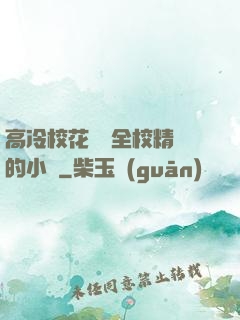 高冷?；S為全校精靈的小說