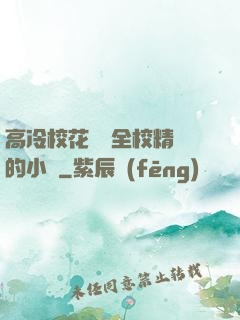 高冷?；S為全校精靈的小說