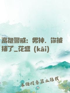 高危警戒：男神，你被捕了