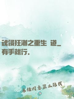 魂侵狂潮之重生問道