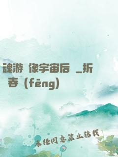 魂游鏡像宇宙后傳
