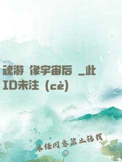 魂游鏡像宇宙后傳