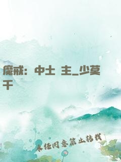 魔戒：中土領主
