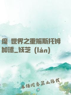 魔獸世界之重振斯托姆加德
