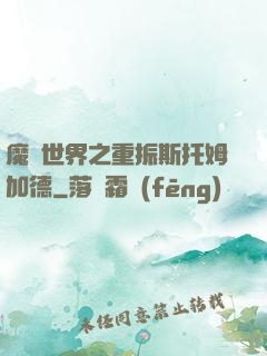 魔獸世界之重振斯托姆加德