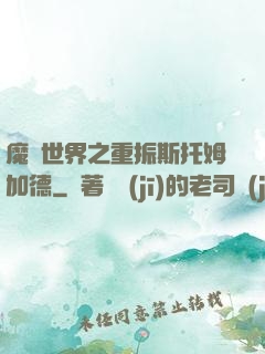 魔獸世界之重振斯托姆加德