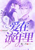 愛(ài)在流年里
